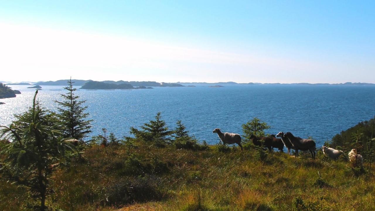 Ferienwohnung Kobbaneset Hk - Tett Pa Havet - Bekkjarvik Exterior foto